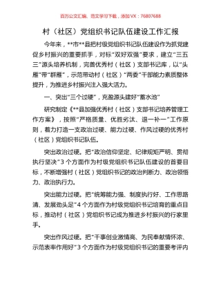 村（社区）党组织书记队伍建设工作汇报.docx