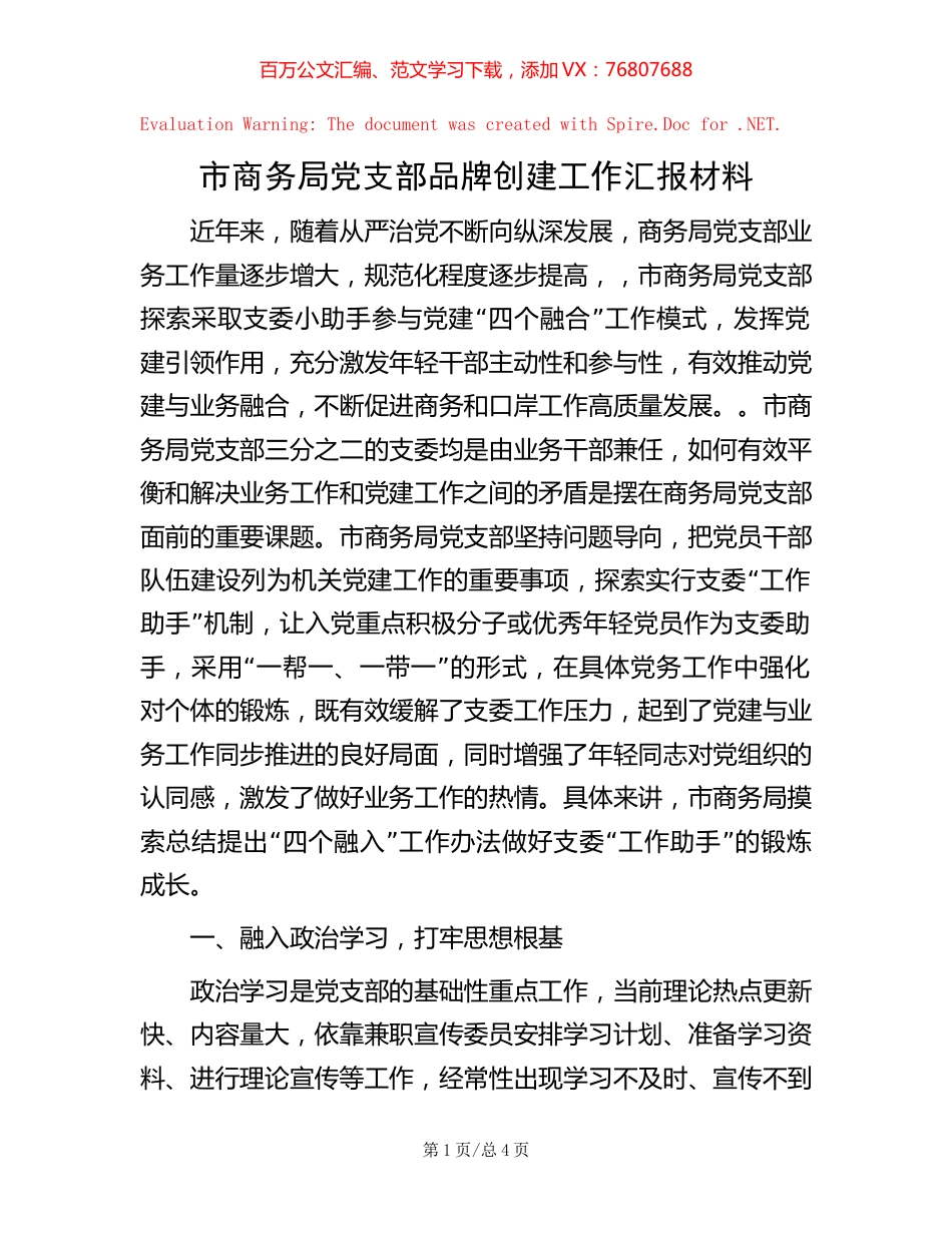 市商务局党支部品牌创建工作汇报材料.docx_第1页