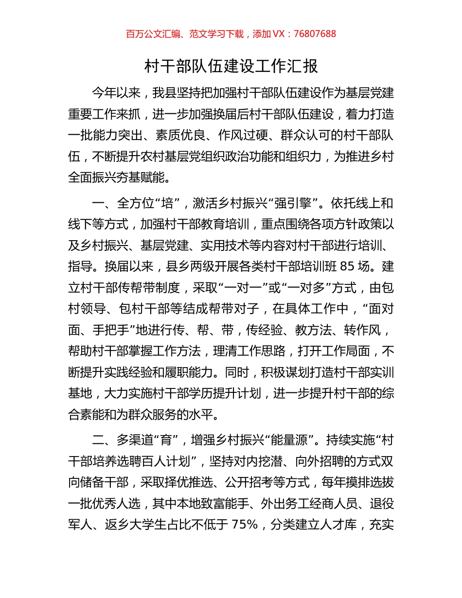 村干部队伍建设工作汇报.docx_第1页