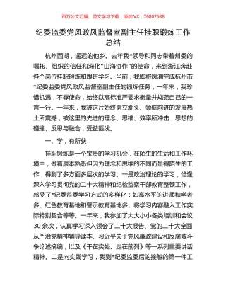 纪委监委党风政风监督室副主任挂职锻炼工作总结.docx