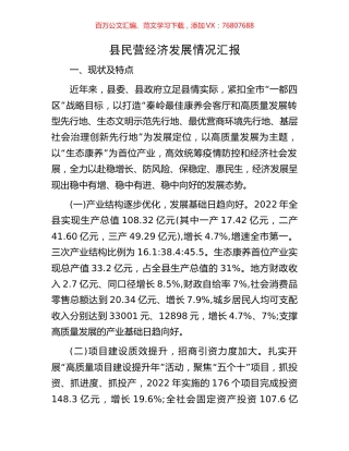 县民营经济发展情况汇报.docx