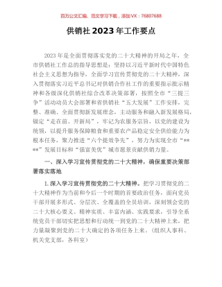 供销社2023年工作要点.docx