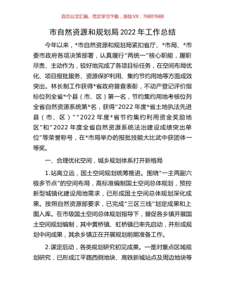 市自然资源和规划局2022年工作总结.docx