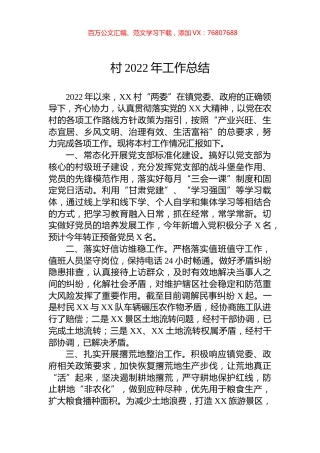 村2022年工作总结.docx