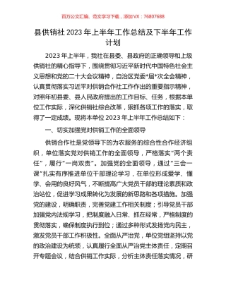 县供销社2023年上半年工作总结及下半年工作计划.docx