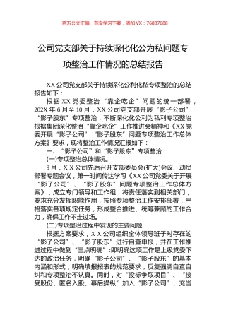 公司党支部关于持续深化化公为私问题专项整治工作情况的总结报告.docx