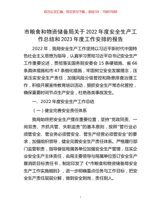 -市粮食和物资储备局关于2022年度安全生产工作总结和2023年度工作安排的报告.docx