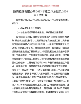 融资担保有限公司2023年度工作总结及2024年工作打算.docx