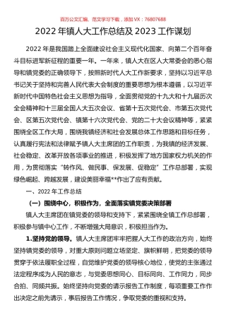 2022年镇人大工作总结及2023工作谋划.docx