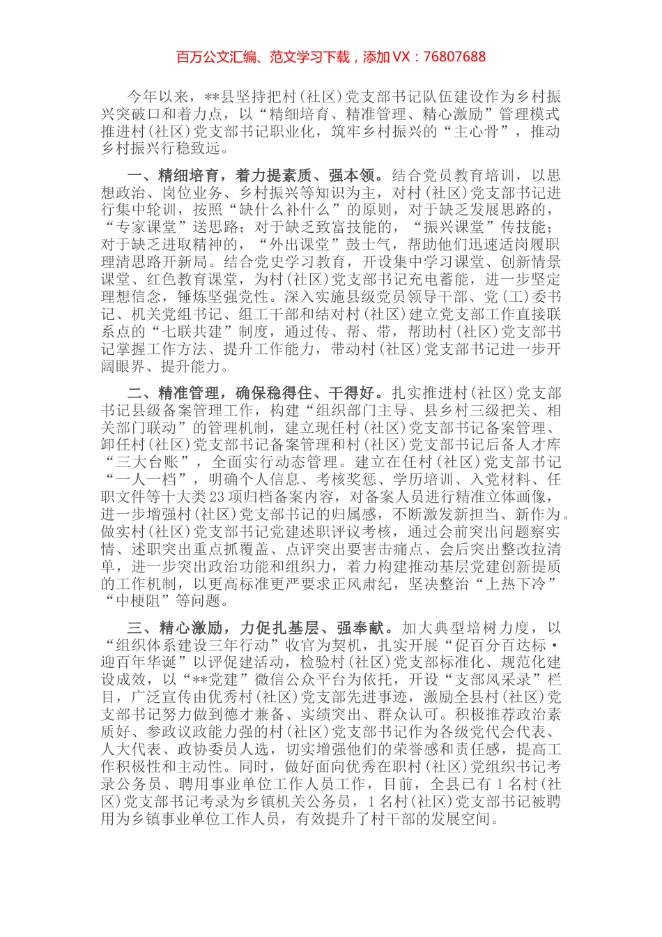 村党支部书记职业化体系建设工作汇报.docx_第1页