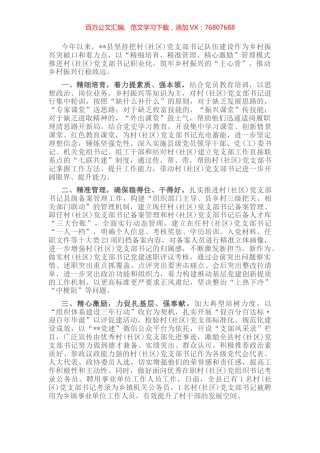村党支部书记职业化体系建设工作汇报.docx