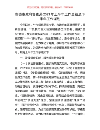 市委市政府督查局2023年上半年工作总结及下半年工作谋划.docx