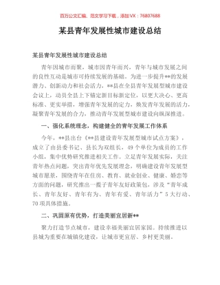 某县青年发展性城市建设总结.docx