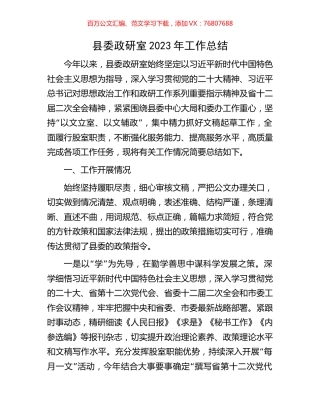 县委政研室2023年工作总结.docx