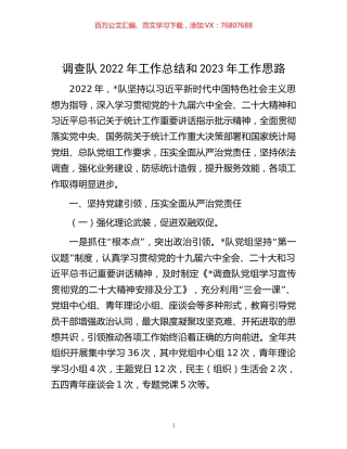 -调查队2022年工作总结和2023年工作思路.docx