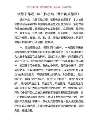 领导干部近3年工作总结.docx