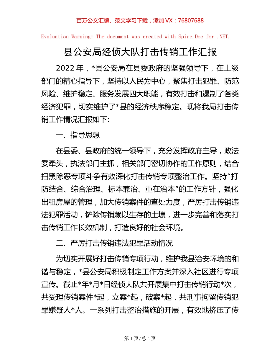 县公安局经侦大队打击传销工作汇报.docx_第1页