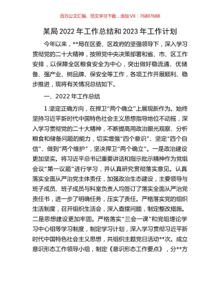 某局2022年工作总结和2023年工作计划.docx