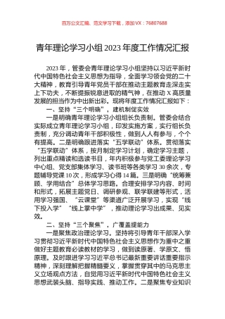 青年理论学习小组2023年度工作情况汇报.docx
