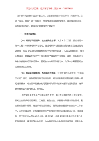 应急管理局干部作风建设年工作开展情况汇报.docx