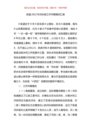 街道2022年河长制工作开展情况总结汇报.docx