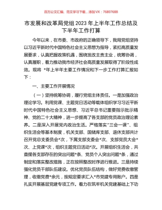 市发展和改革局党组2023年上半年工作总结及下半年工作打算.docx