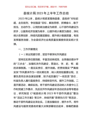 县统计局2023年上半年工作总结.docx