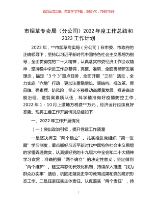 -市烟草专卖局（分公司）2022年度工作总结和2023工作计划.docx