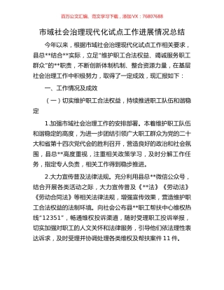 市域社会治理现代化试点工作进展情况总结.docx