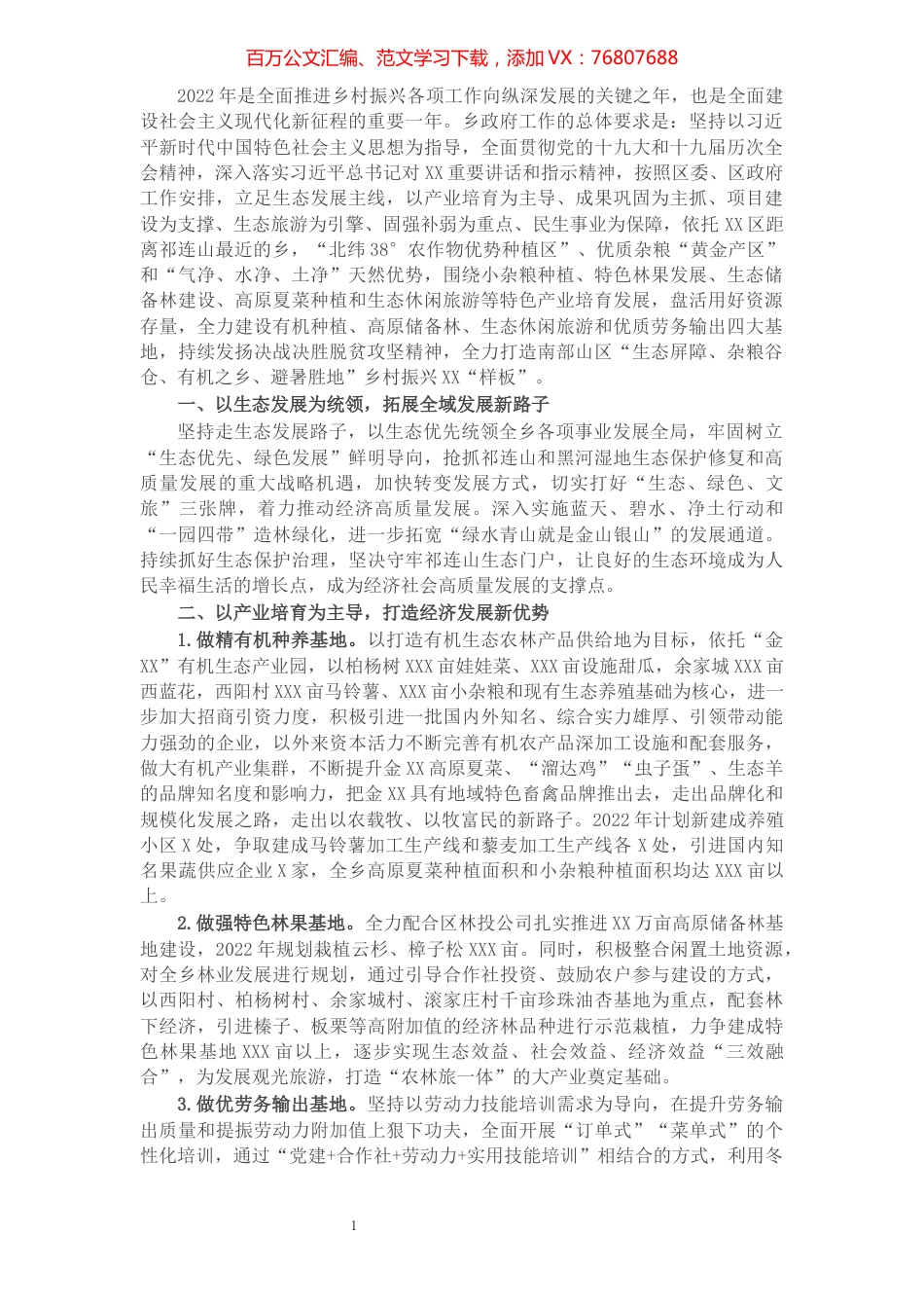 乡人民政府2022年工作要点.docx_第1页