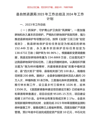 县自然资源局2023年工作总结及2024年工作计划.docx