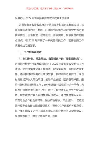 区供销社2022年巩固拓展脱贫攻坚成果工作总结.docx