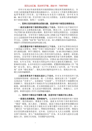 党支部干部工作总结.docx