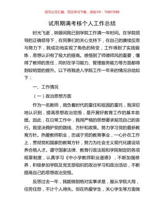 试用期满考核个人工作总结.docx
