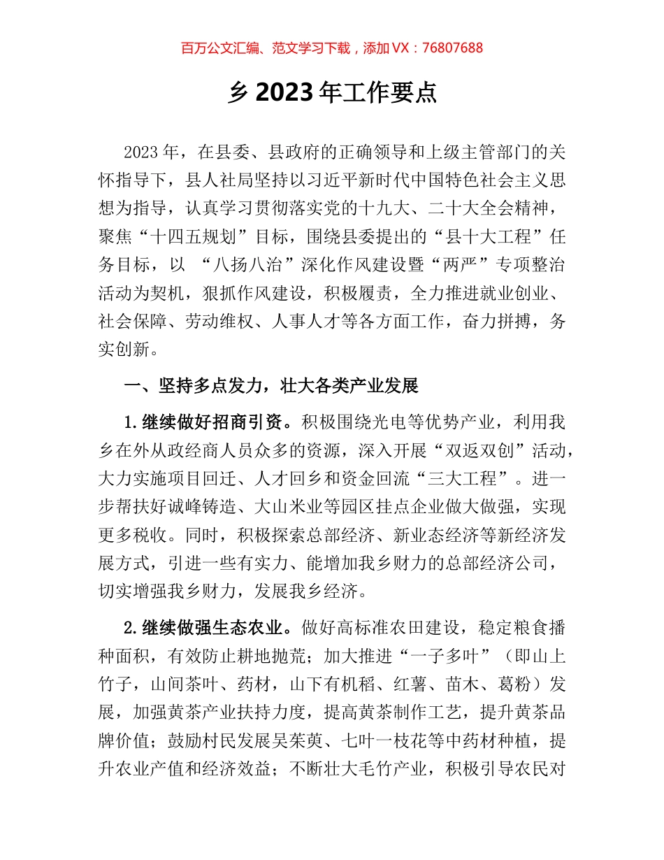 乡2023年工作要点.docx_第1页