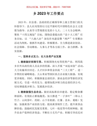 乡2023年工作要点.docx