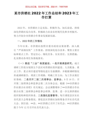 某市供销社2022年工作总结和2023年工作打算.docx