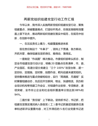 -两新党组织组建攻坚行动工作汇报.docx