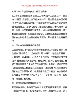 某局2023年度国家安全工作计划安排.docx