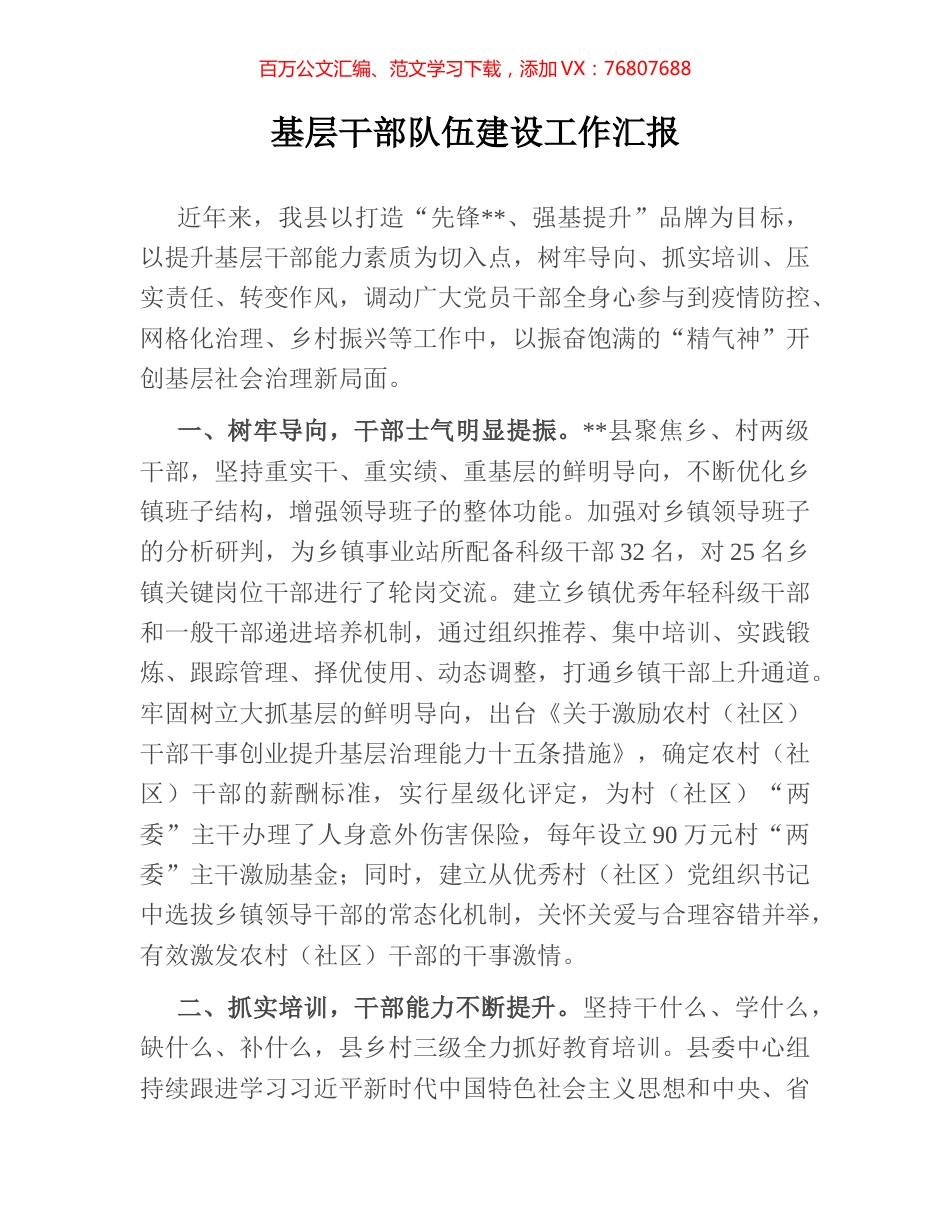 基层干部队伍建设工作汇报.docx_第1页