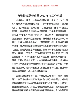 -市数据资源管理局2022年度工作总结.docx