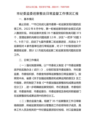 市纪委监委巡察整改日常监督工作情况汇报.docx
