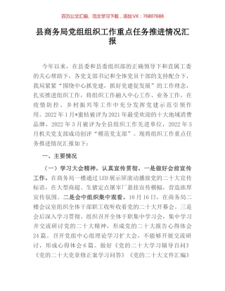 县商务局党组组织工作重点任务推进情况汇报.docx