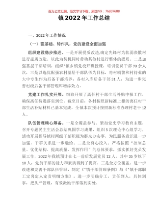 镇2022年工作总结 (2).docx