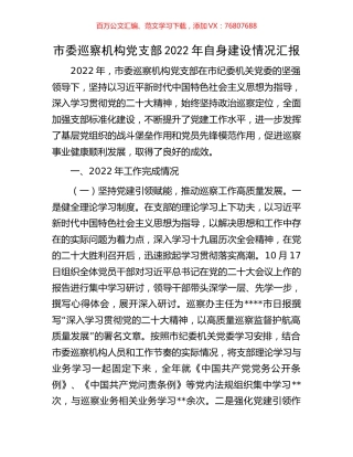 市委巡察机构党支部2022年自身建设情况汇报.docx