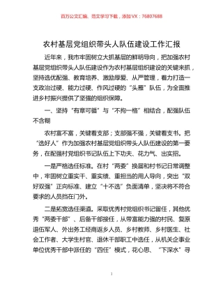 -农村基层党组织带头人队伍建设工作汇报.docx