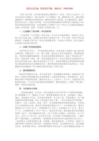 驻村帮扶队第一书记工作总结.docx