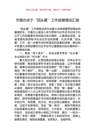 市委办关于“回头看”工作进展情况汇报.docx