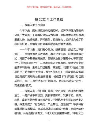 -镇2022年工作总结.docx