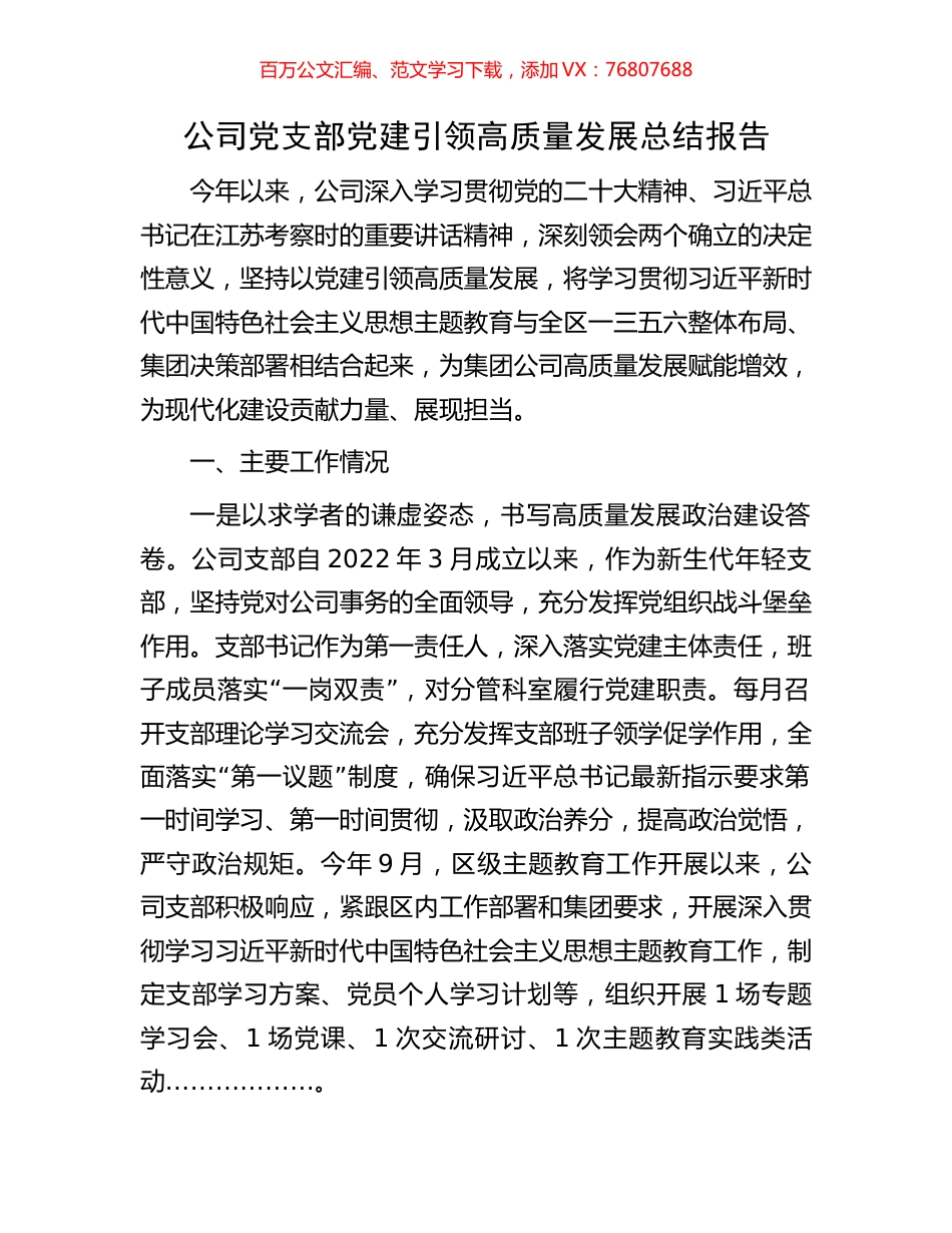 公司党支部党建引领高质量发展总结报告.docx_第1页